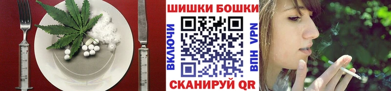 shop как зайти  Новозыбков  Печенье с ТГК марихуана  MEGA ТОР 