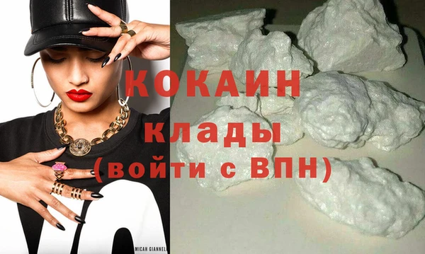 крисы Михайловск