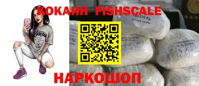 шишки Тверь