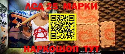 шишки Тверь