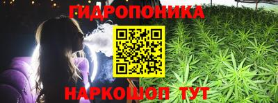 шишки Тверь