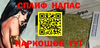шишки Тверь