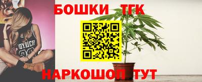 шишки Тверь