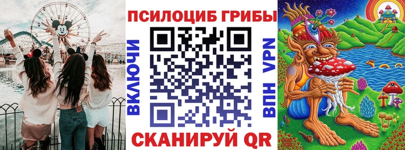дарнет шоп  Новозыбков  Псилоцибиновые грибы MAGIC MUSHROOMS 