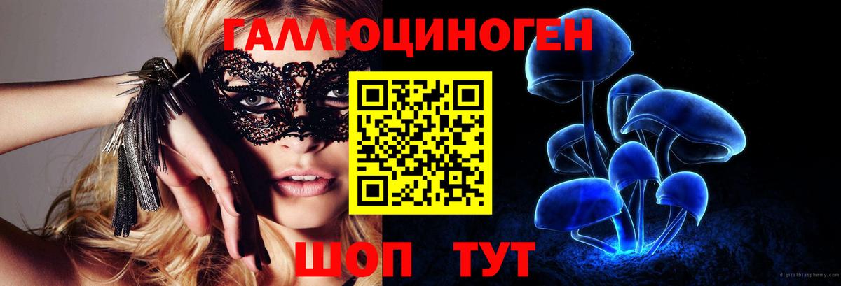 Новозыбков  Галлюциногенные грибы мухоморы  Вход с VPN 