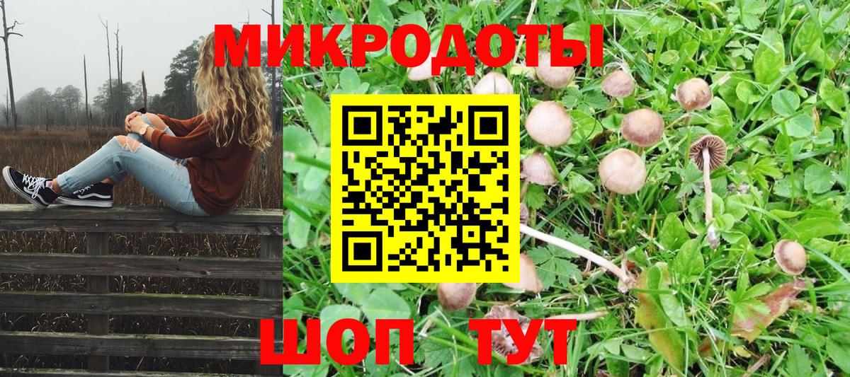 Molly  Новозыбков  Вход с VPN  Каннабис  Метамфетамин  Мяу-Мяу  Кокаин  Масло THC  МЕФ  Альфа-ПВП  ГАШИШ 