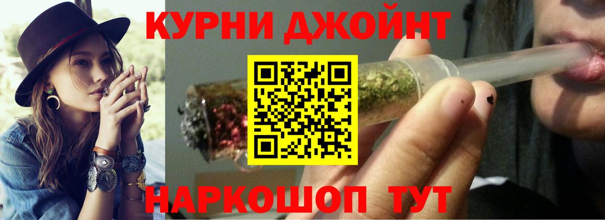 Конопля конопля Новозыбков