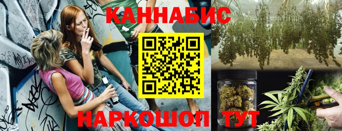 Марихуана гибрид Новозыбков